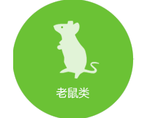 鼠類防治